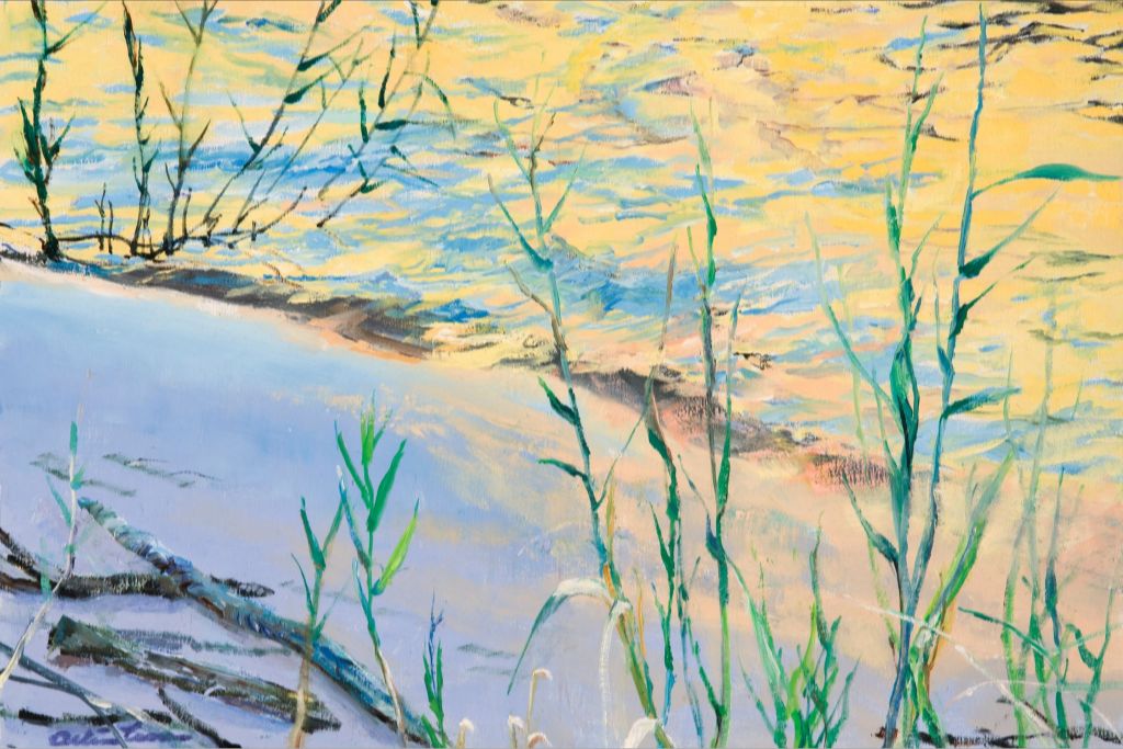 Phragmites