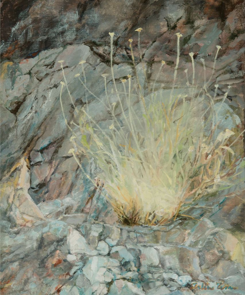 A place between the rocks