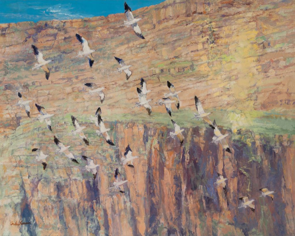 Rush of wings