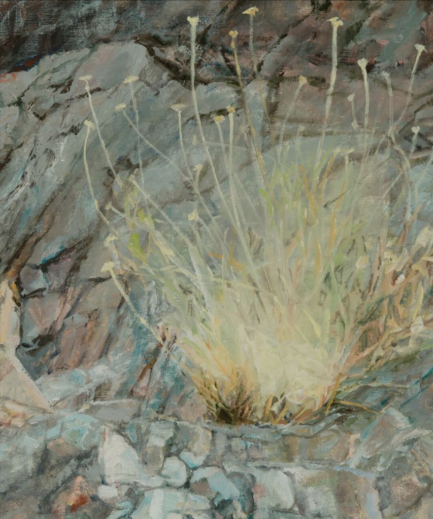 A place between the rocks