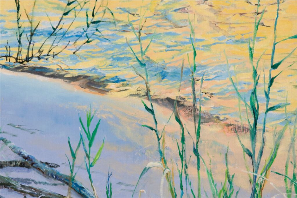 Phragmites