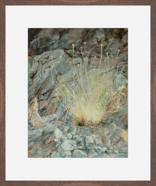 A place between the rocks
