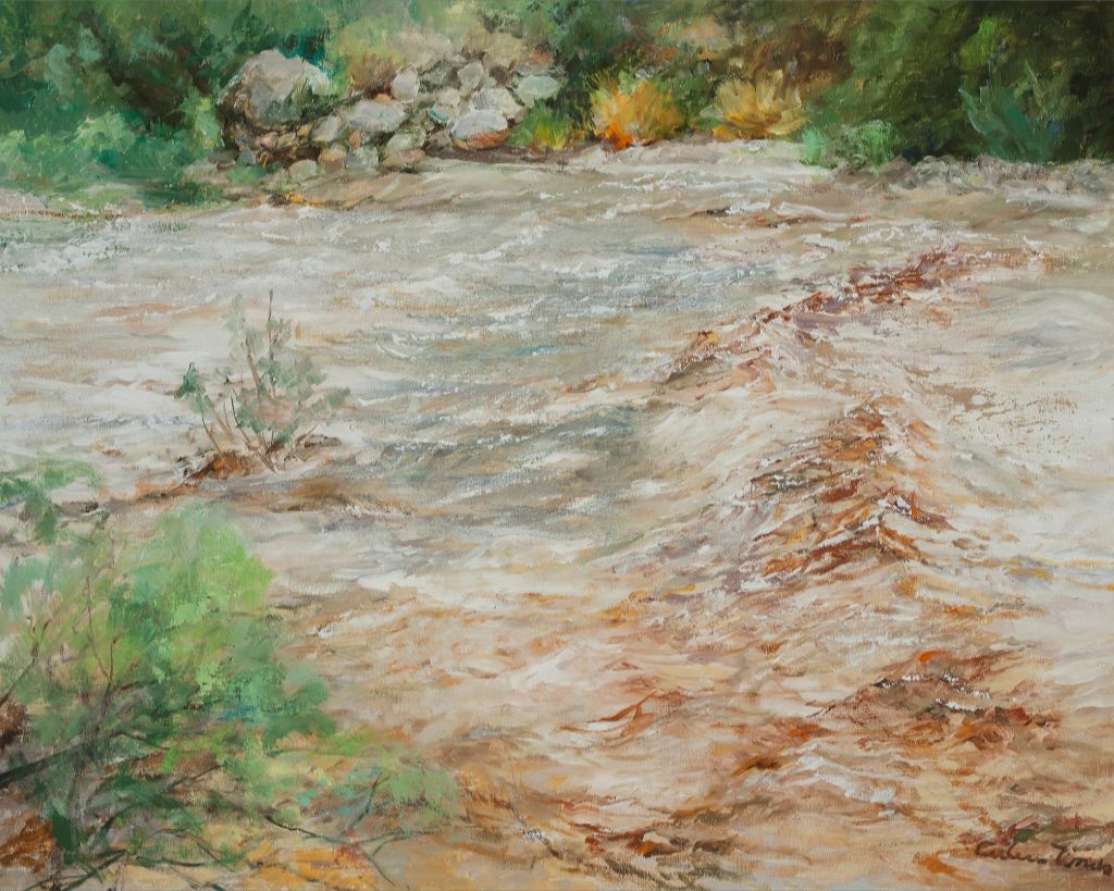 Blacktail Creek
